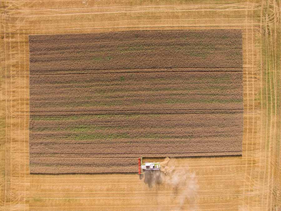 Captivating aerial view of a Claas combine harvester in action during wheat harvest on a sunny day, expertly captured via drone