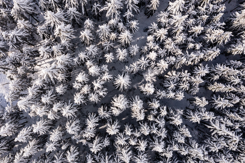 Stunning aerial view of snow-covered trees at Feldberg, Taunus, captured with DJI Mavic 2 Pro drone. Winter forest, woodland in snow