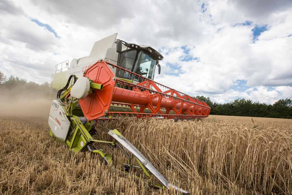 Fotoreportage über die Weizenernte eines Landwirts in der Nähe von Frankfurt.