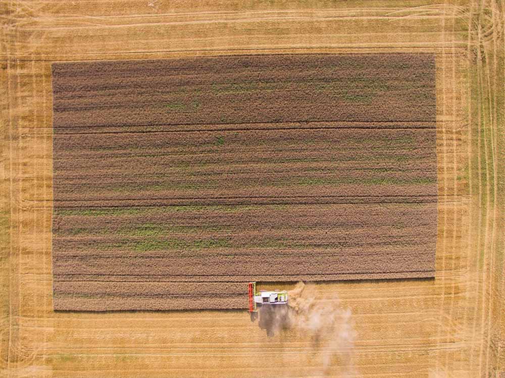 Weizenernte eines Landwirts in der Nähe von Frankfurt.