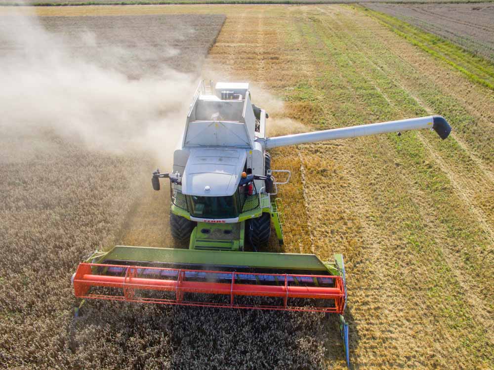 Reportagefotografie für die internationale Nachrichtenagentur Bloomberg News über die Weizenernte eines Landwirts in der Nähe von Frankfurt.