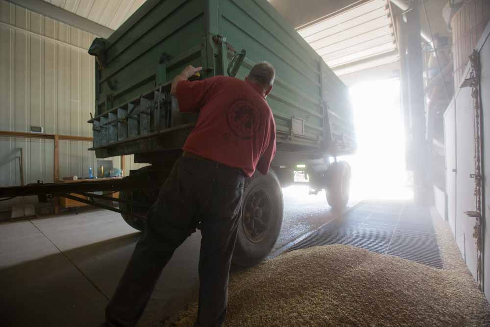 Fotoreportage für die internationale Nachrichtenagentur Bloomberg News über die Weizenernte eines Landwirts in der Nähe von Frankfurt.