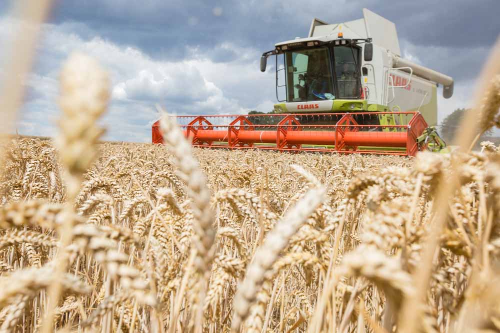 Reportagefotografie für die internationale Nachrichtenagentur Bloomberg News über die Weizenernte eines Landwirts in der Nähe von Frankfurt.