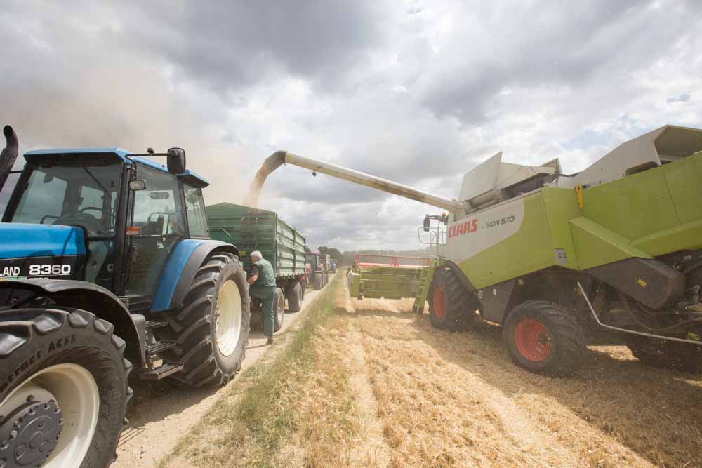 Fotoreportage für die internationale Nachrichtenagentur Bloomberg News über die Weizenernte eines Landwirts in der Nähe von Frankfurt.