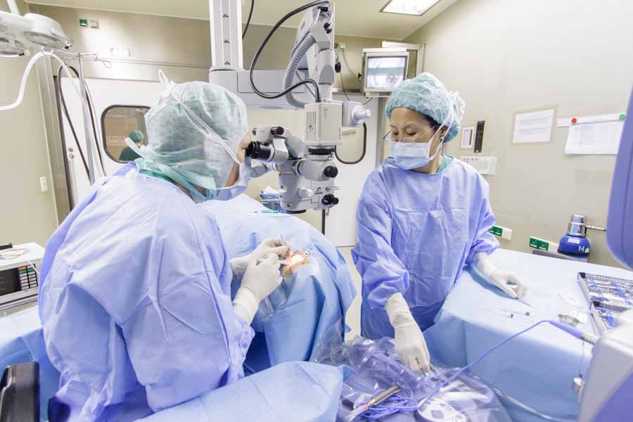 Professor Kohnen from Frankfurt University Hospital and his team during the eye operation.